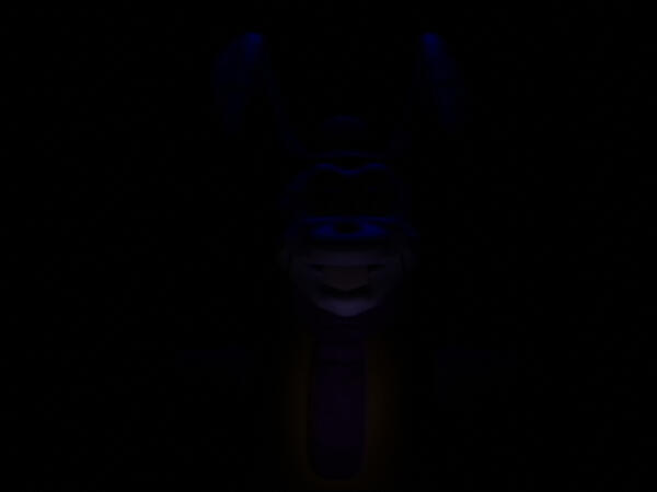 VHS Bonnie